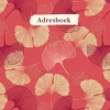 Paperstore Adresboek (Klein) - Ginko Clearance