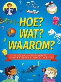 Deltas Boek Hoe? wat? waarom? Sale