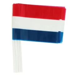 De Grote Speelgoedwinkel Handvlaggetjes rood wit blauw Discount