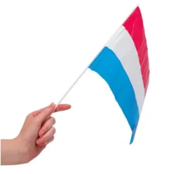 De Grote Speelgoedwinkel Handvlaggetjes rood wit blauw Discount