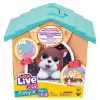 Moose Little Live Pets Mijn Puppy Huis Mini Fashion