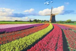 Ravensburger Puzzel Hollandse Windmolen 1000 Stukjes Clearance