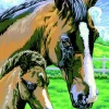 De Grote Speelgoedwinkel Schilderen op Nummer Paard Discount