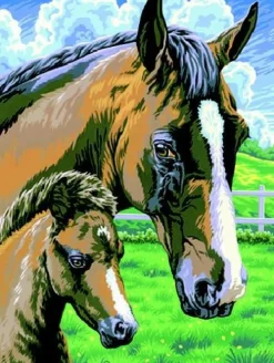 De Grote Speelgoedwinkel Schilderen op Nummer Paard Discount