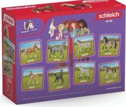 Schleich 42738 Horse Club Paso Peruano Starter Set Clearance