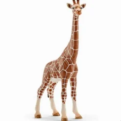 Schleich Giraf Wijfje voordelig online kopen? Hot